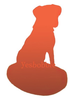 Full Custom Pet Bobblehead Full Custom Pet Bobblehead